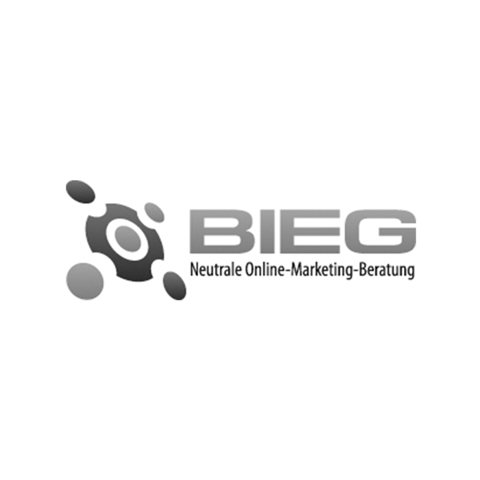 Logo BIEG