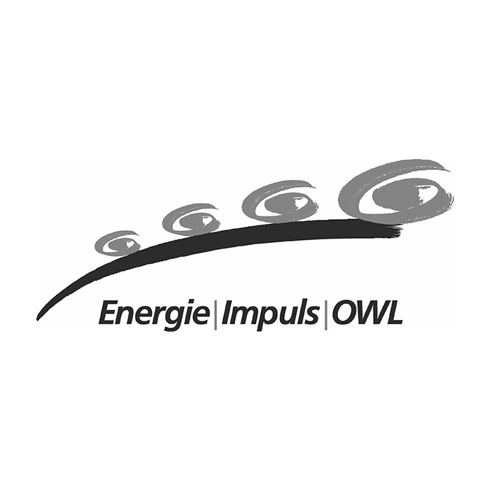 Energie-Impuls